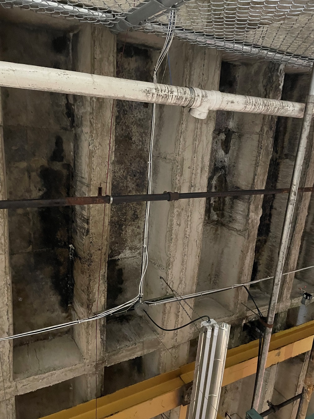 Before - Certified Mold Abatement