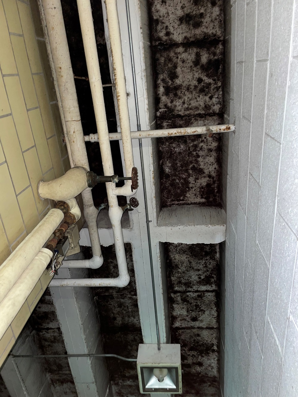 Before - Certified Mold Abatement