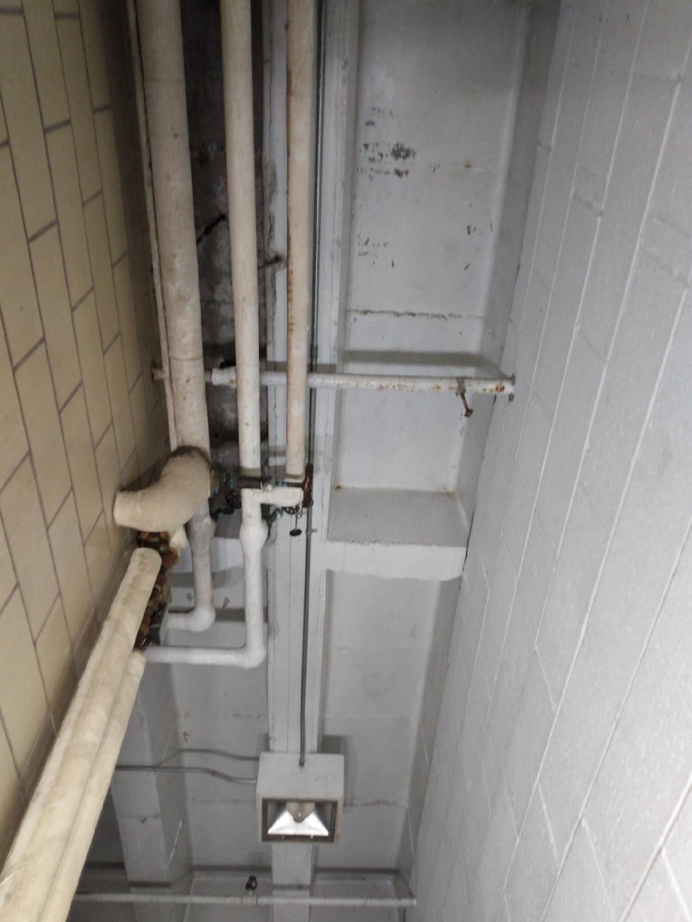 After - Certified Mold Abatement